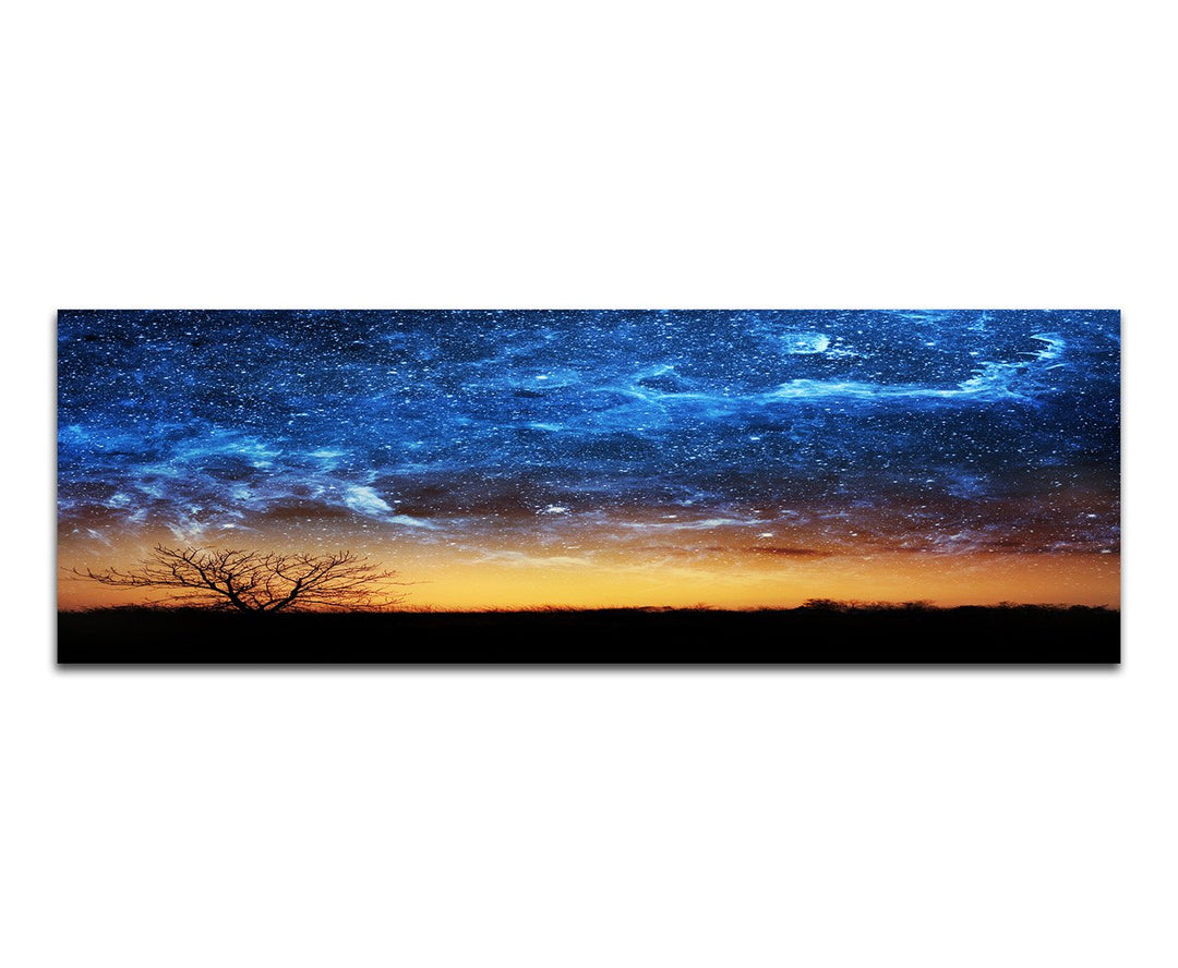 Paul Sinus Art Panoramabild auf Leinwand und Keilrahmen 120x40cm Wiese Baum Himmel Nacht Sterne