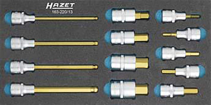 HAZET 163-220/13 Schraubendreher-Einsatz-Satz 163-220/13 Cvd-tin Coated, 163-220/13 Cvd-tin Coated