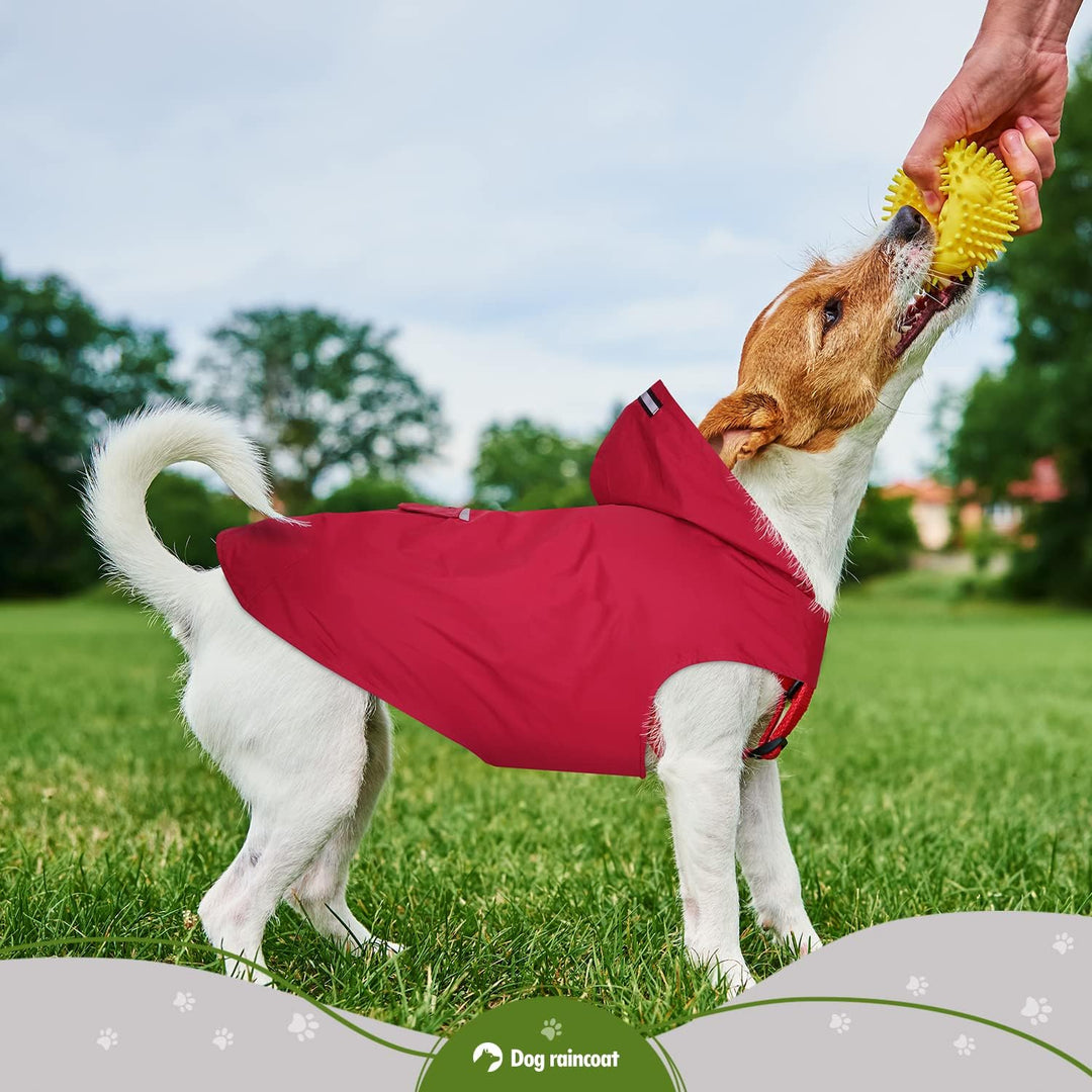 Zellar Hunderegenmantel mit Kapuze & Kragenloch & Sicheren Reflektierenden Streifen, Ultraleichte At