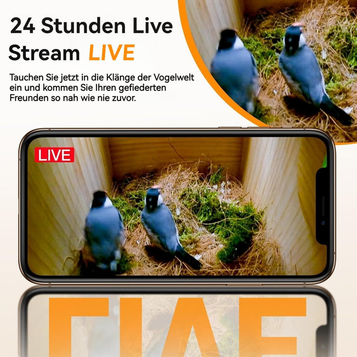 Vogelhaus mit Kamera, 4MP HD Nistkasten mit Kamera wetterfest, 2,4G WiFi & App Benachrichtigung, Beo