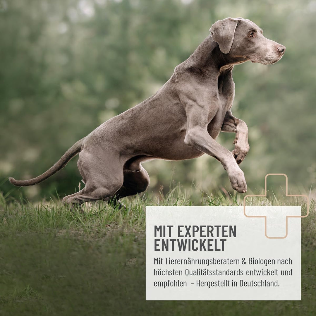 ReaVET Kartoffelflocken Hund 1kg, Kartoffelflocken Hunde, Gemüseflocken Hunde getreidefrei, Gemüsefl