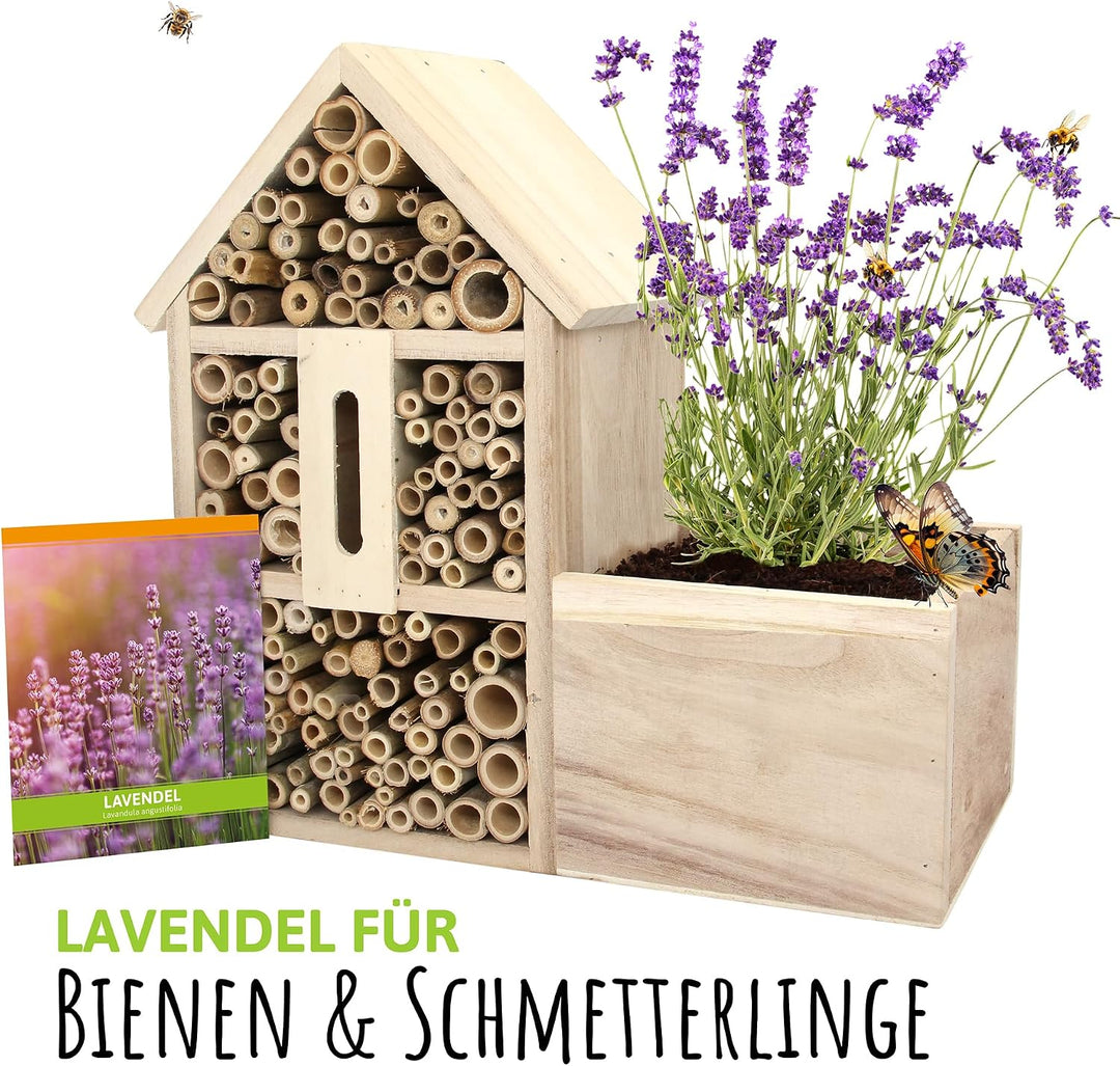 FLORTUS Insektenhotel Lavendel für Bienen &amp; Schmetterlinge | Naturbelasses Insektenhotel gross für G