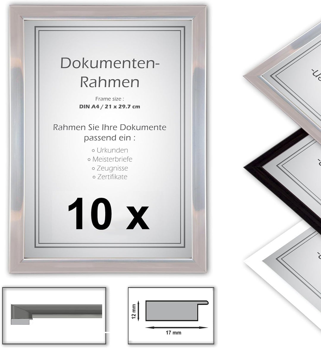 10 x Urkundenrahmen, DIN A4, 21x29,7 Fotorahmen, Bilderrahmen A4,Silber 10 X Silber, 10 X Silber