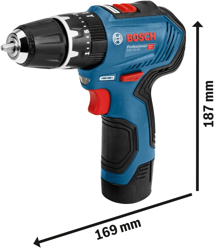 Bosch Professional 12V System Akku Schlagbohrschrauber GSB 12V-30 (inkl. 2x2.0Ah Akku, Schnellladege