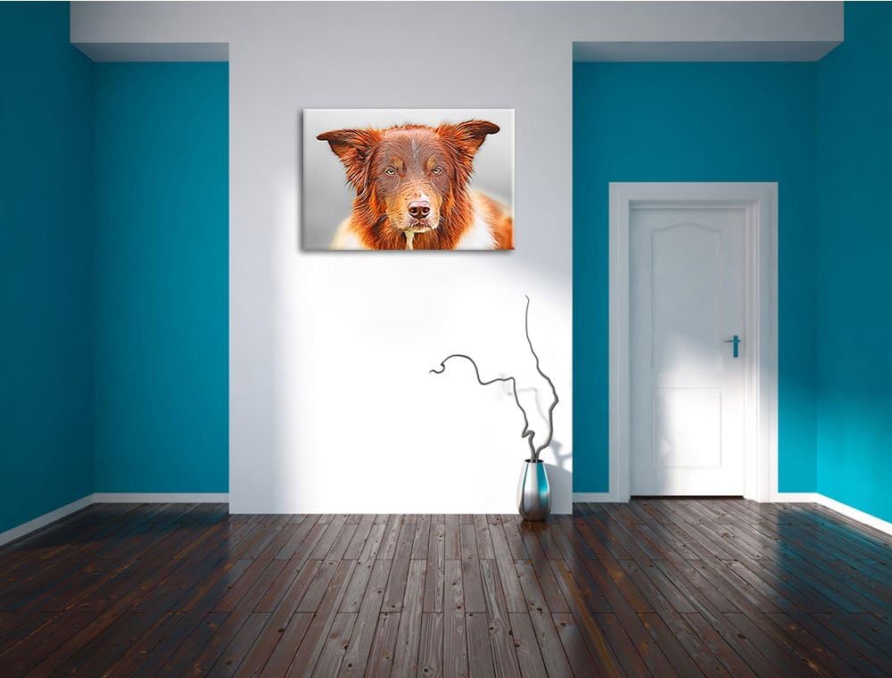 bildschöner Australian Shepherd Mischling Format: 100x70 auf Leinwand, XXL riesige Bilder fertig ger