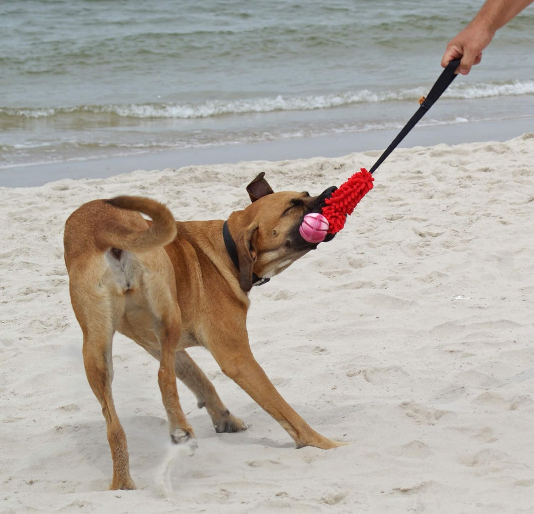 Dingo Mop Bungee Rot Mikrofaser mit Vanille Duft Ball Hundespielzeug Agility Apporte zum Spielen Tau