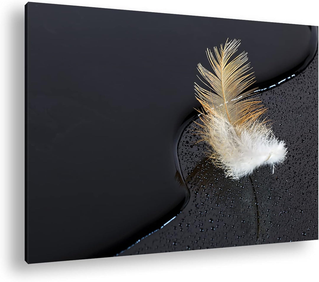 deyoli schöne Feder mit Wassertropfen im Format: 80x60 als Leinwandbild, Motiv fertig gerahmt auf Ec