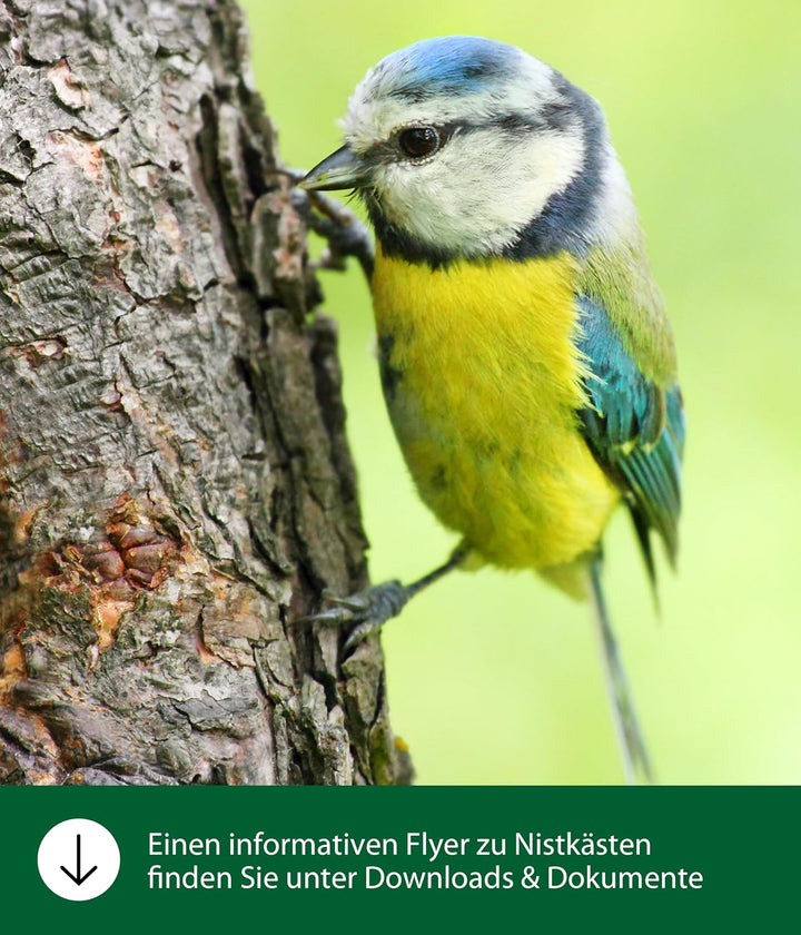 Dehner Natura Premium Wildvogel Nistkasten Domingo,Vogelhaus / Vogelnistkasten für Wildvögel, robust