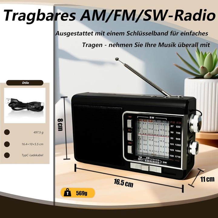Kleines Radio mit Solarpanel &amp; 1200mAh Akku, AM/FM/SW1-6 Empfänger mit 8W-Lautsprecher/TWS/USB/TF/Ta