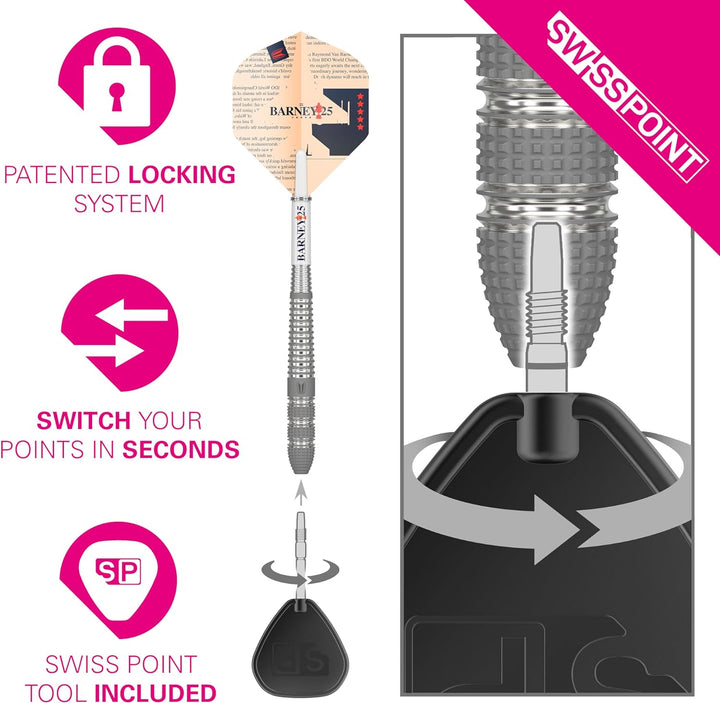Target Darts Raymond Van Barneveld RVB 25 Year Edition 21G 95% Wolfram Swiss Point Stahlspitze Darts