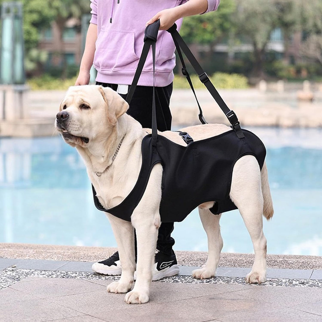YOUNGSAY Tragehilfe Hund, Verstellbare Tragegurt Hund, Gross Hunde Tragehilfe für Behinderte, Blindh