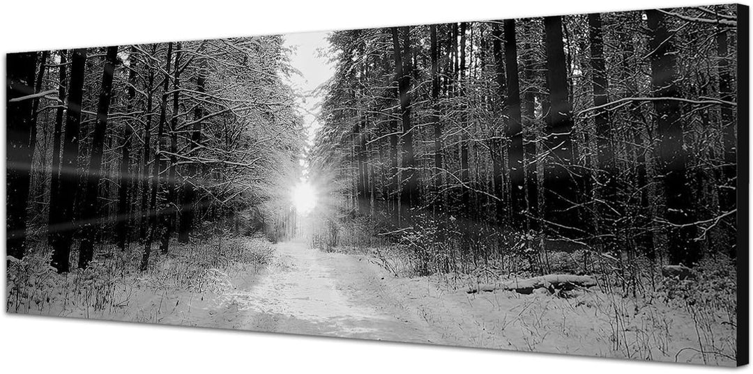 Paul Sinus Art Leinwandfoto als Panorama SCHWARZ/Weiss 150x50cm Wald Bäume Winter Schnee Sonnenaufga