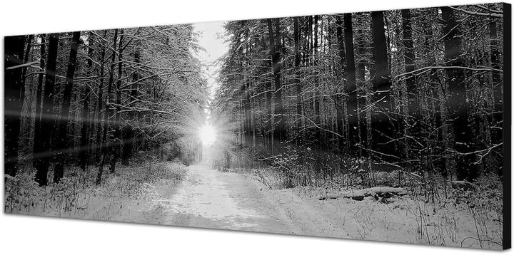 Paul Sinus Art Leinwandfoto als Panorama SCHWARZ/Weiss 150x50cm Wald Bäume Winter Schnee Sonnenaufga