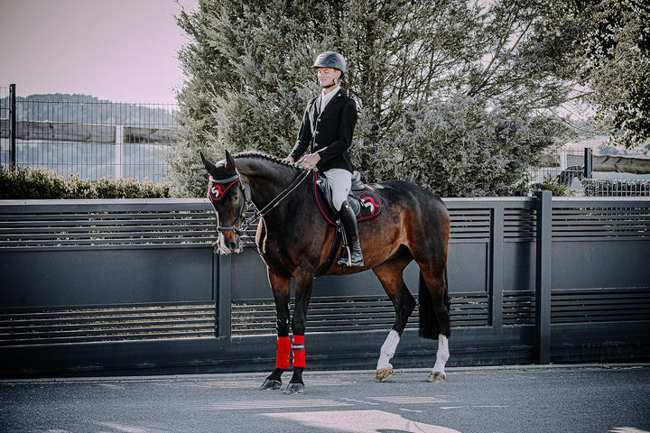 SUNRIDE teilbare Schlaufzügel (Hilfszügel) für Pferde, aus Echtleder und Kordel, mit Sattelschlaufen