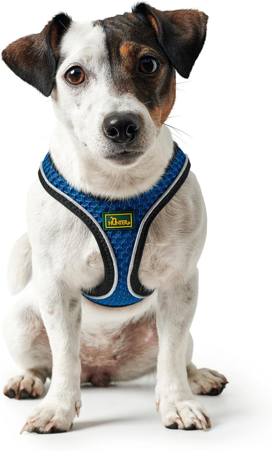 HUNTER HILO COMFORT Geschirr für kleine Hunde mit Netzmaterial und reflektierenden Elementen, blau,