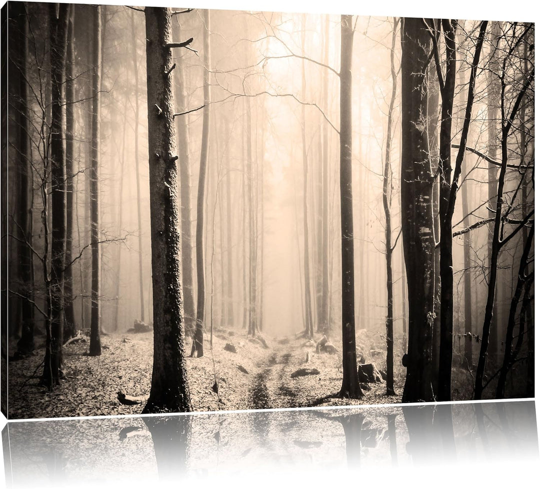 Pixxprint Mystischer Wald Schwarz/Weiss, Format: 100x70 auf Leinwand, 100x70