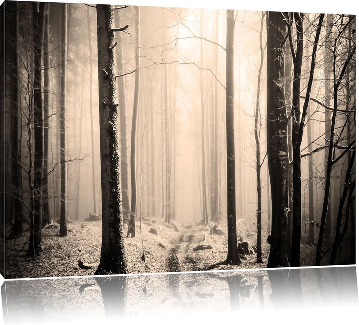 Pixxprint Mystischer Wald Schwarz/Weiss, Format: 100x70 auf Leinwand, 100x70