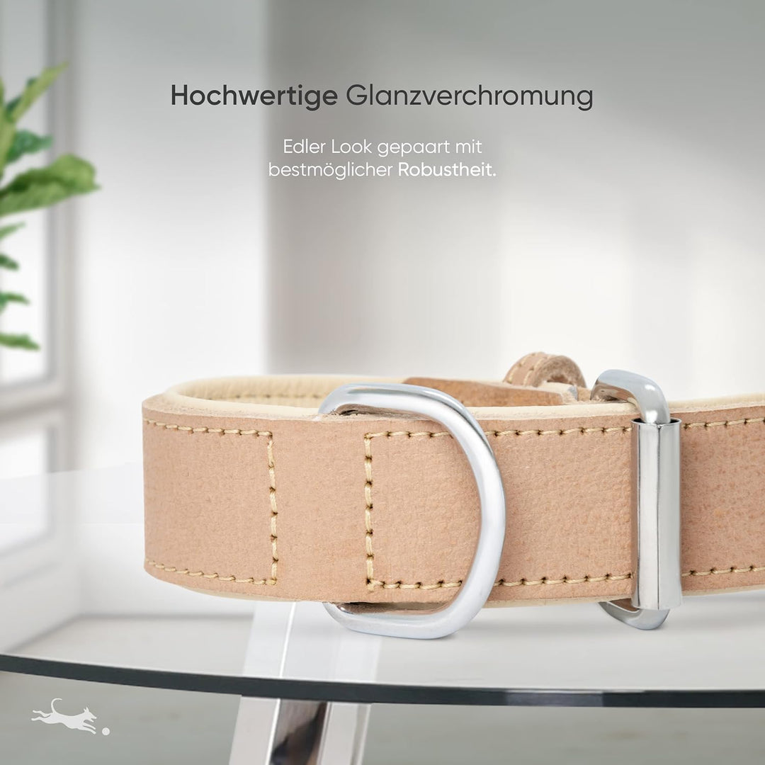 FREUDENTIER® Hundehalsband aus Leder, Made in Holland, gefüttert & super komfortabel, hochwertiges b