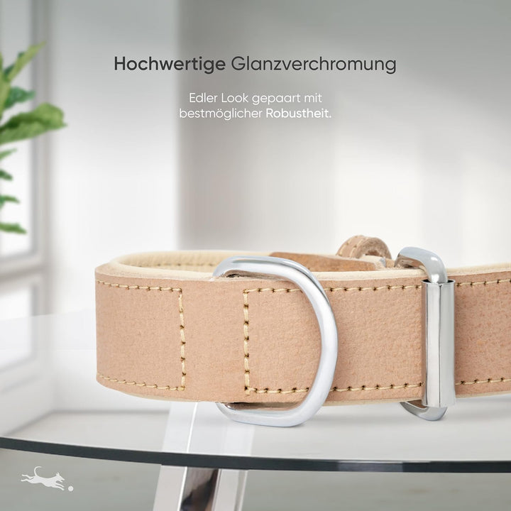 FREUDENTIER® Hundehalsband aus Leder, Made in Holland, gefüttert & super komfortabel, hochwertiges b