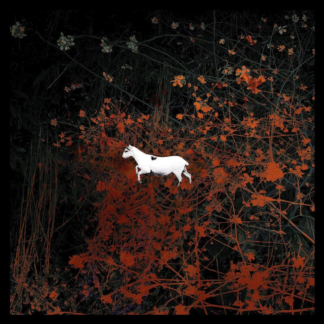 Prédateurs (LTD. Complete Box), Audio-CD