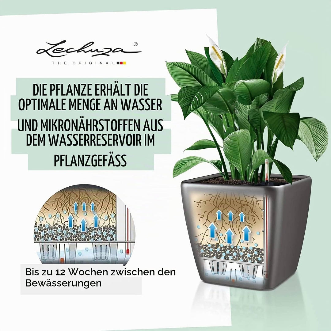 LECHUZA QUADRO Premium LS 50 weiss hochglanz 16280 50x50x47 cm Weiss Hochglanz, 50x50x47 cm Weiss Ho