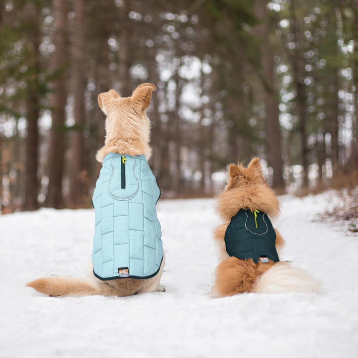 Kurgo Loft Hundejacke, Mit Hundegeschirr kombinierbar, Wasserdicht und reflektierend, Ideal für den