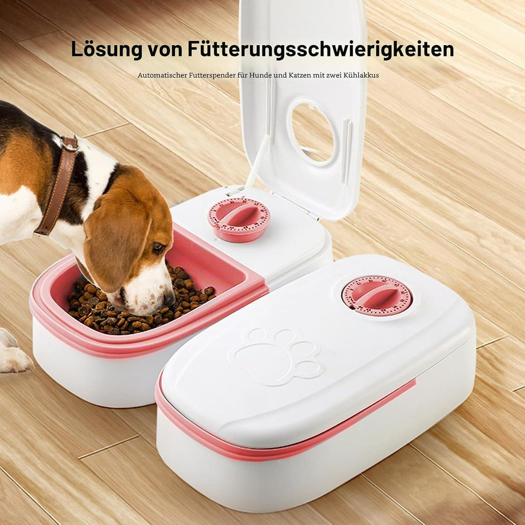 Futterautomat Katze Nassfutter, 2 Mahlzeiten Katzenfutter Automat Katzen Futterautomat mit 48 Stunde