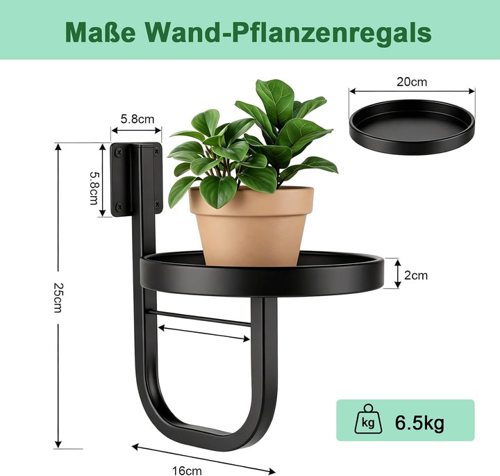 ERWEY Wandbehang Pflanzgefässe für Zimmerpflanzen, 2 Stück Metall Fenster Anlagenhalter, Moderne Pfl