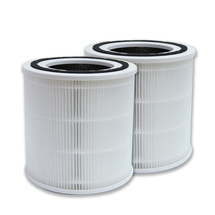 PUREBURG Ersatzfilter kompatibel mit HERILIOS HS-AP005,TaoTronics TT-AP005 Luftreiniger, 2er-Pack H1