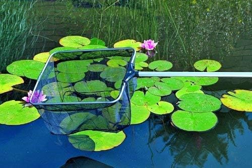 OASE 50078 Profi Teichkescher - Kescher, Fischkescher, Teichzubehör, Teichreinigung, Entfernung von