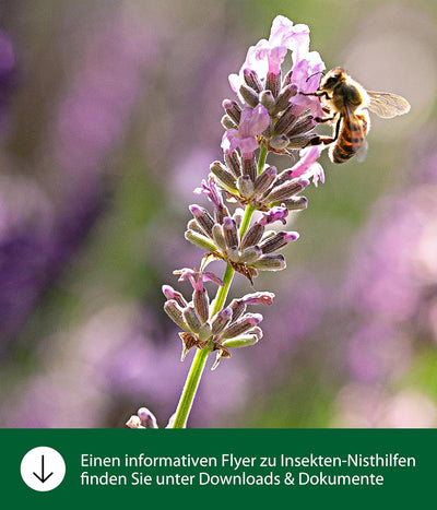 Dehner Natura Insektenhotel Andrena, ca. 29.5 x 9.5 x 28.5 cm, Kiefern-, Tannenholz/Bambus/Sperrholz