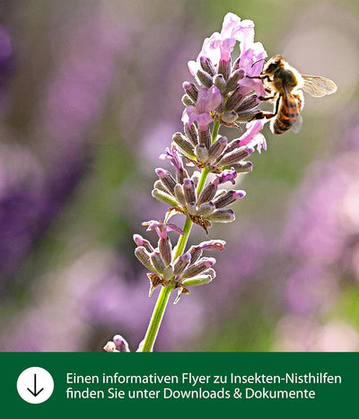 Dehner Natura Premium Schmetterlingshaus Runa, Insektenhotel wetterfest, Insektenhaus/Wildvogel Nist