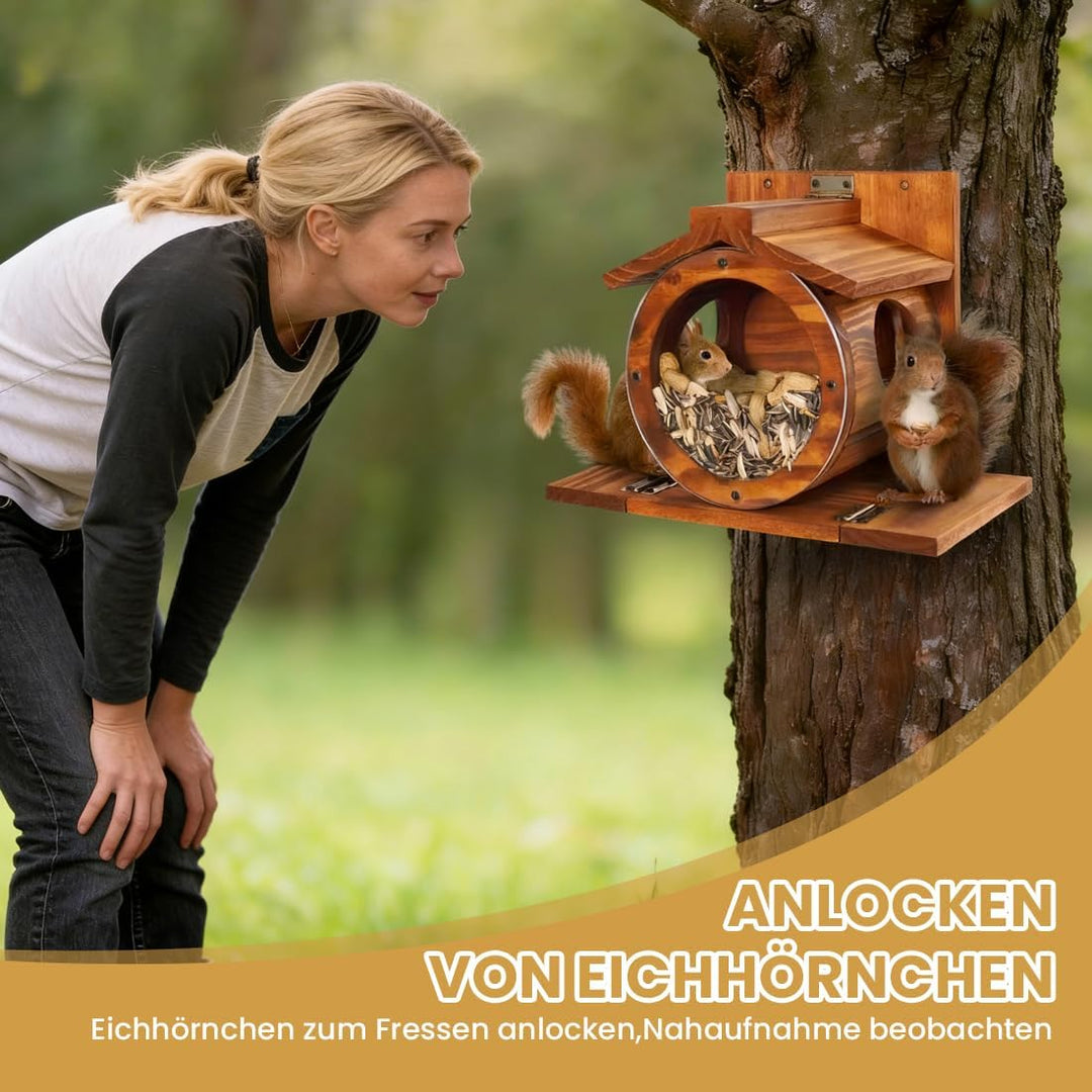 Eichhörnchen Futterhaus Wetterfes mit Runden Transparentes, Futterstationen für Eichhörnchen, 2 Eing