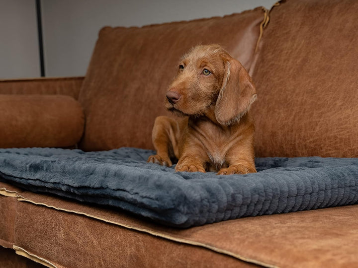 TrendPet Harmony 4cm gefütterte Hundedecke, Katzendecke, Liegedecke für Hunde und Katzen (Anthrazit,