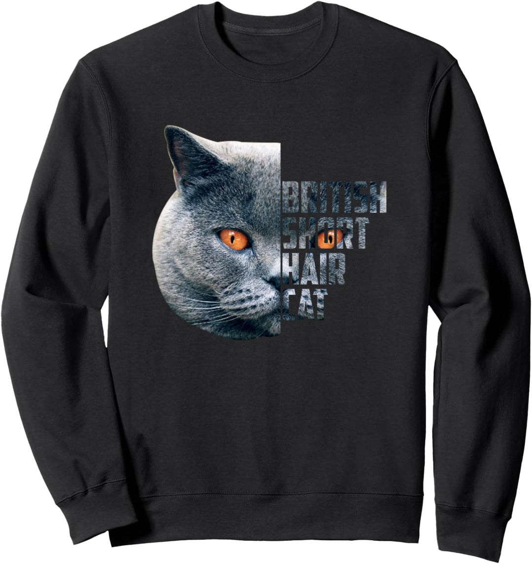 Britisch Kurzhaar Katzen BKH Blue Sweatshirt