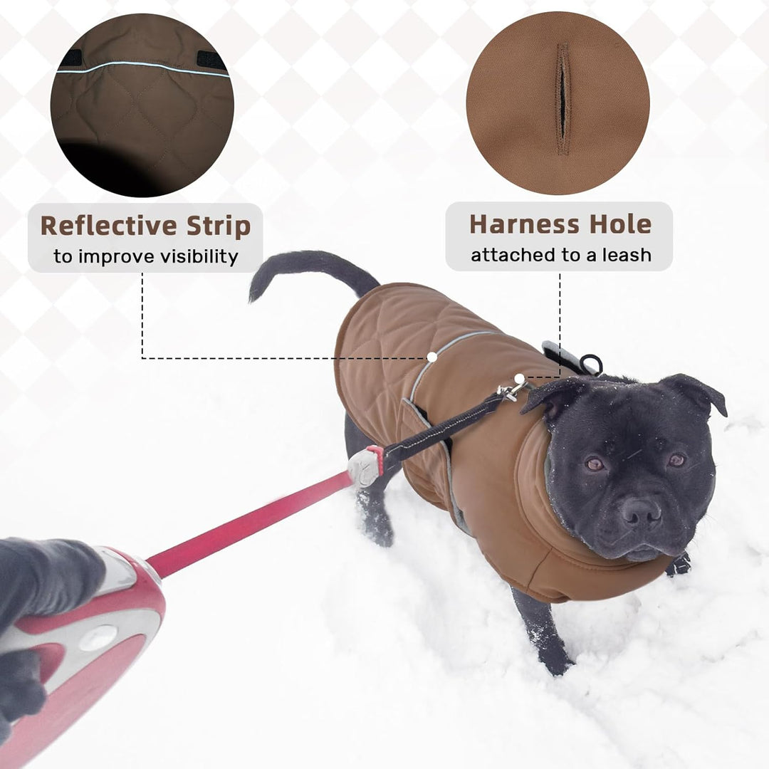 Wintermantel Hund Klein, Winterjacke Geschirröffnung, Hundemantel Gefüttert Kleidung Mantel für Chih