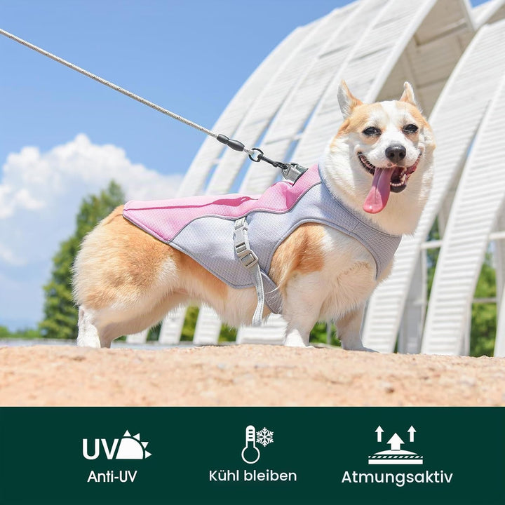 Kuoser Kühlweste für Hunde, Hundekühlungsmantel für heisse Sommertage, Atmungsaktive &amp; Reflektierend