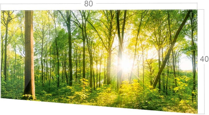 GRAZDesign Spritzschutz Küche Glas Wald, Lichtung, Bäume in Grün, Küchenrückwand Glas für Herd und S