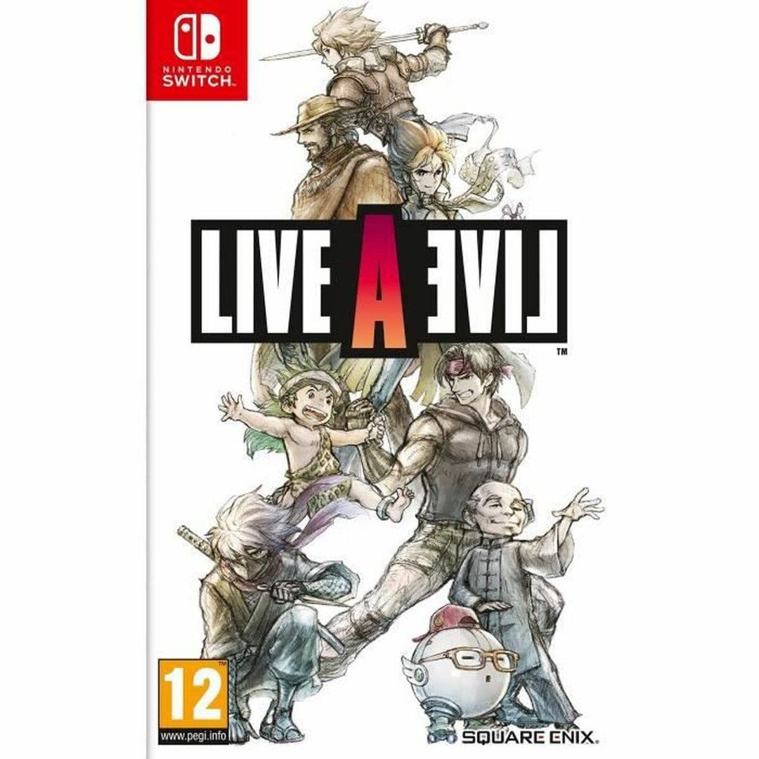 Nintendo Live A Live Spiel, Schwarz