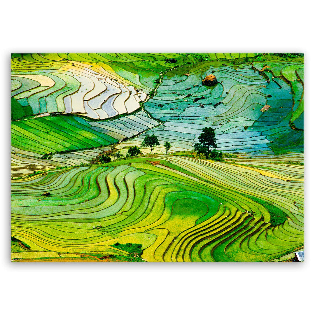 ge Bildet Bild auf Leinwand | Landschaftsbilder - Reisfelder in der Provinz Lao Cai - Vietnam K in 7