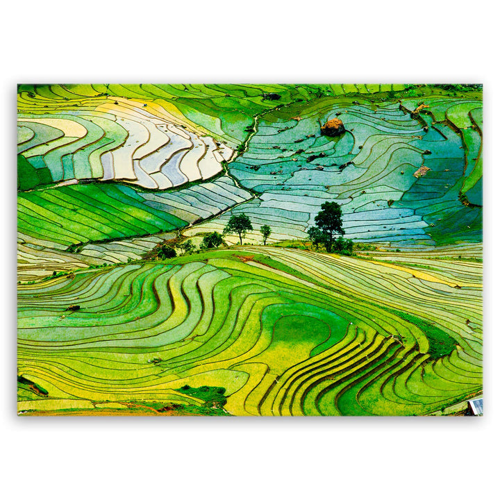ge Bildet Bild auf Leinwand | Landschaftsbilder - Reisfelder in der Provinz Lao Cai - Vietnam K in 7