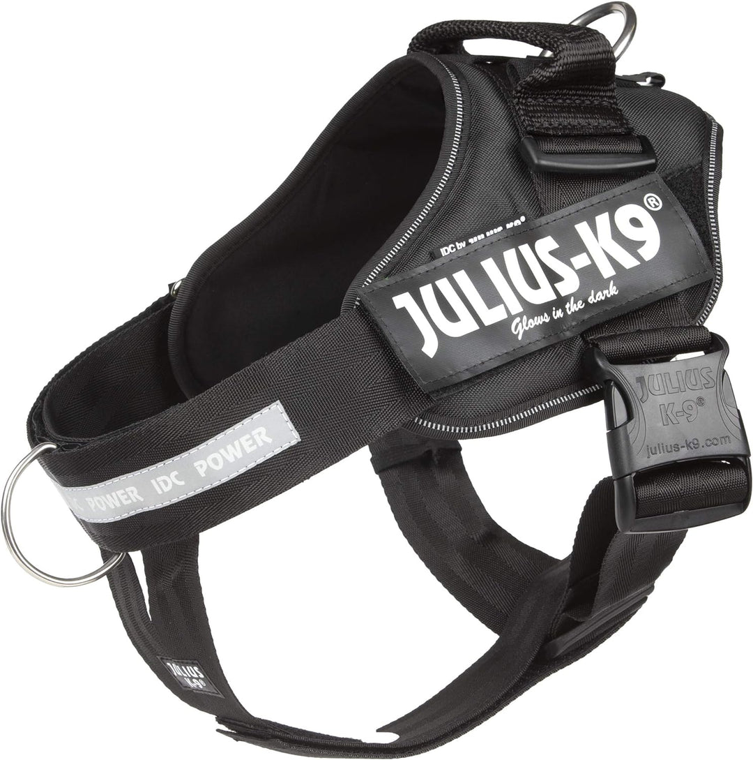 Julius-K9 16IDC-PBGHS-1 IDC Powergeschirr, Hundegeschirr mit Front Control Y-Gurt, Grösse: L/1, Schw