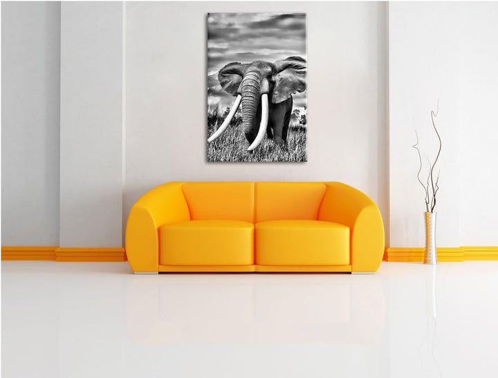 Pixxprint Stolzer Elefant in Savanne als Leinwandbild/Grösse: 100x70 cm/Wandbild/Kunstdruck/fertig b