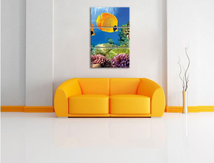 Pixxprint Fische Korallenriff als Leinwandbild/Grösse: 3 Teilig (120x80) cm/Wandbild/Kunstdruck/fert