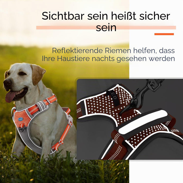 ThinkPet Anti-Zug Hundegeschirr Mit Griff - Leicht Zu Kontrollieren, Verstellbar Ohne Würgen, Reflek