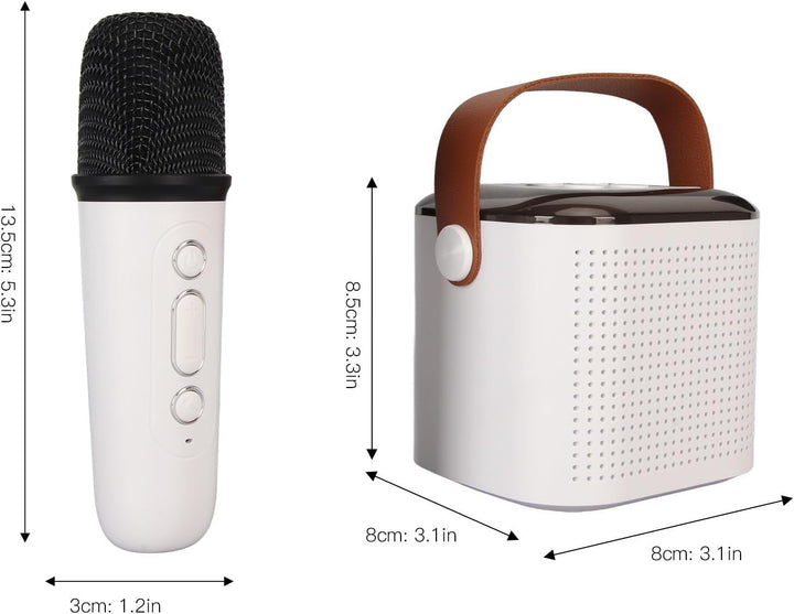 Tragbarer Bluetooth Lautsprecher mit 2 Kabellosen Mikrofonen, RGB Karaoke Maschinen Set, Unterstützt