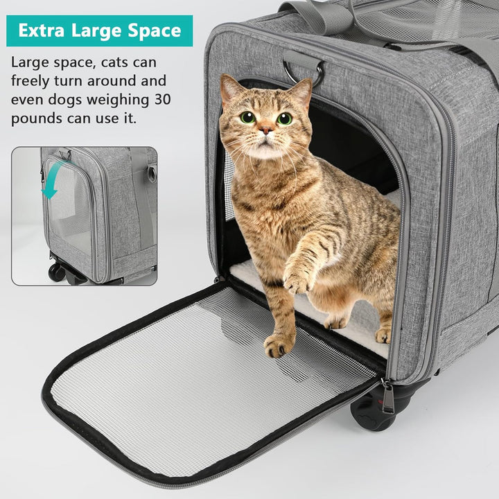 Grosser Katzentransportbox mit Rollen Trolley,Katzentasche Transporttasche für Flugzeug Transportbox