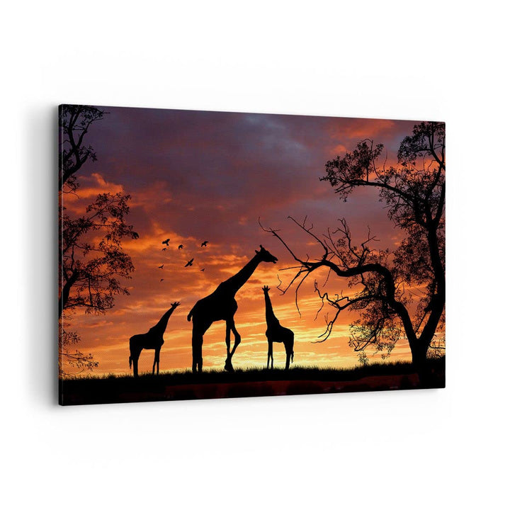 Bilder auf Leinwand 100x70cm Leinwandbild Giraffe Afrika Sonne Safari Gross Wanddeko Bild Schlafzimm