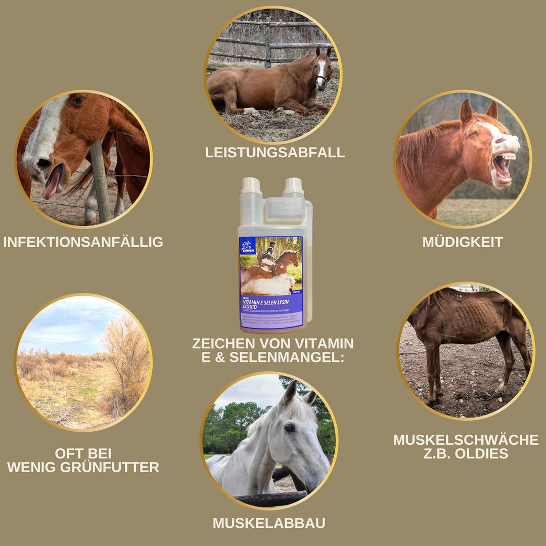 Selen Vitamin E Lysin Liqud + Booster für Pferde gesunde Muskulatur erhalten Pferd Vitamin E-Selen L