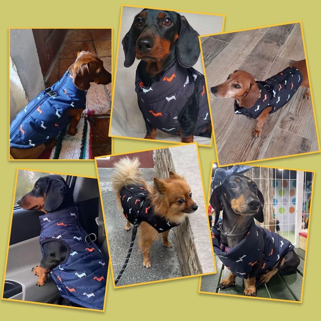 Hundemantel Winter Hundejacke Warme Hundemantel für Kleine Hunde Winddichte Hundeweste mit Geschirr
